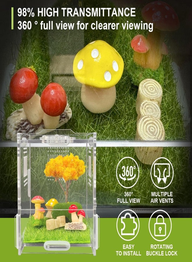 Julang Jumping Spider Enclosure, 4" X 4" X 4" Acrylic Spider Habitat, Front Opening Small Reptile Terrarium with Matrix Ventilation Holes & Feeding Holes, for Jumping Spider Snail Insect - Image 4
